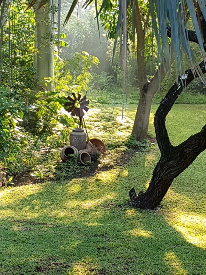 Kruger Allo B&B Komatipoort Dış mekan fotoğraf
