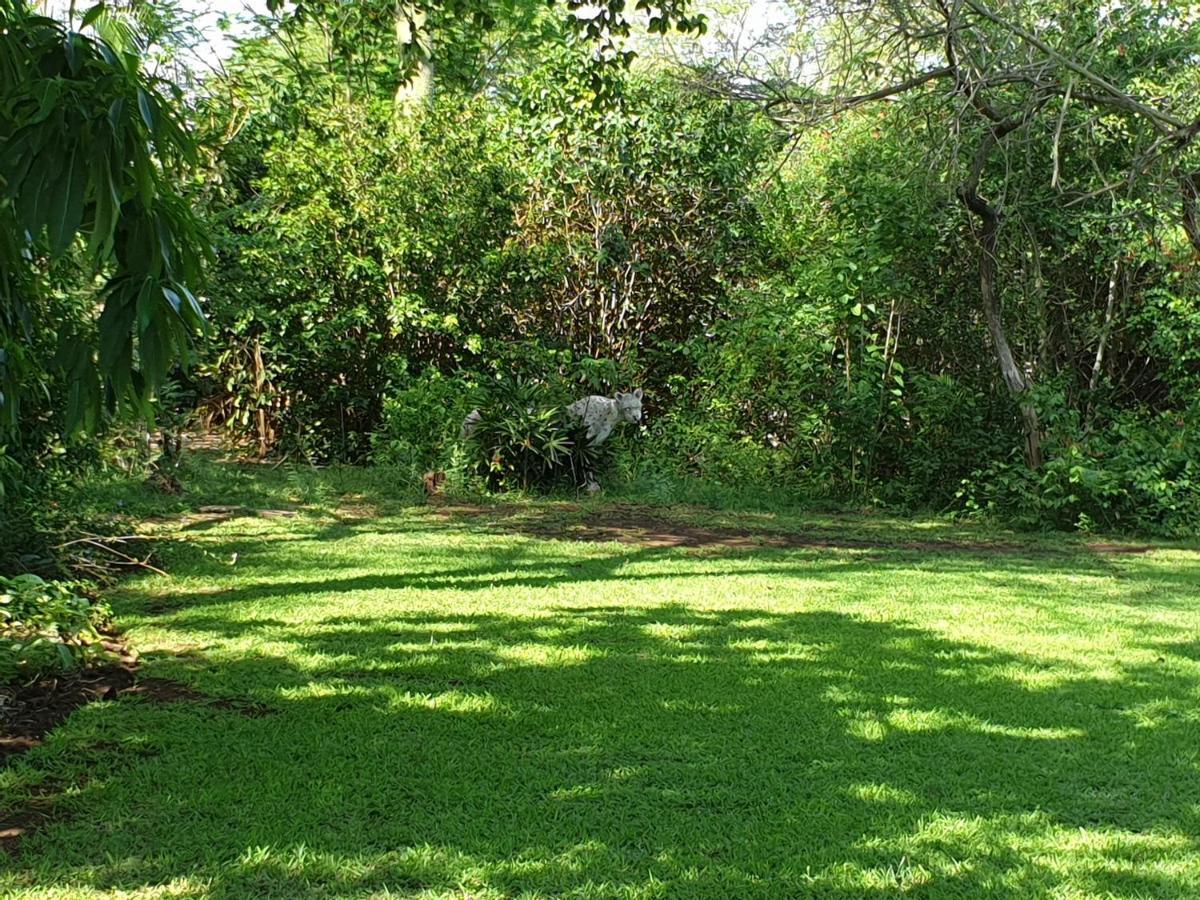 Kruger Allo B&B Komatipoort Dış mekan fotoğraf